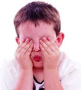 ������������˫����������